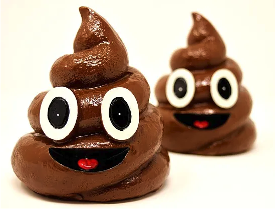 Fresh Shit Syndrom in Agile Transformations